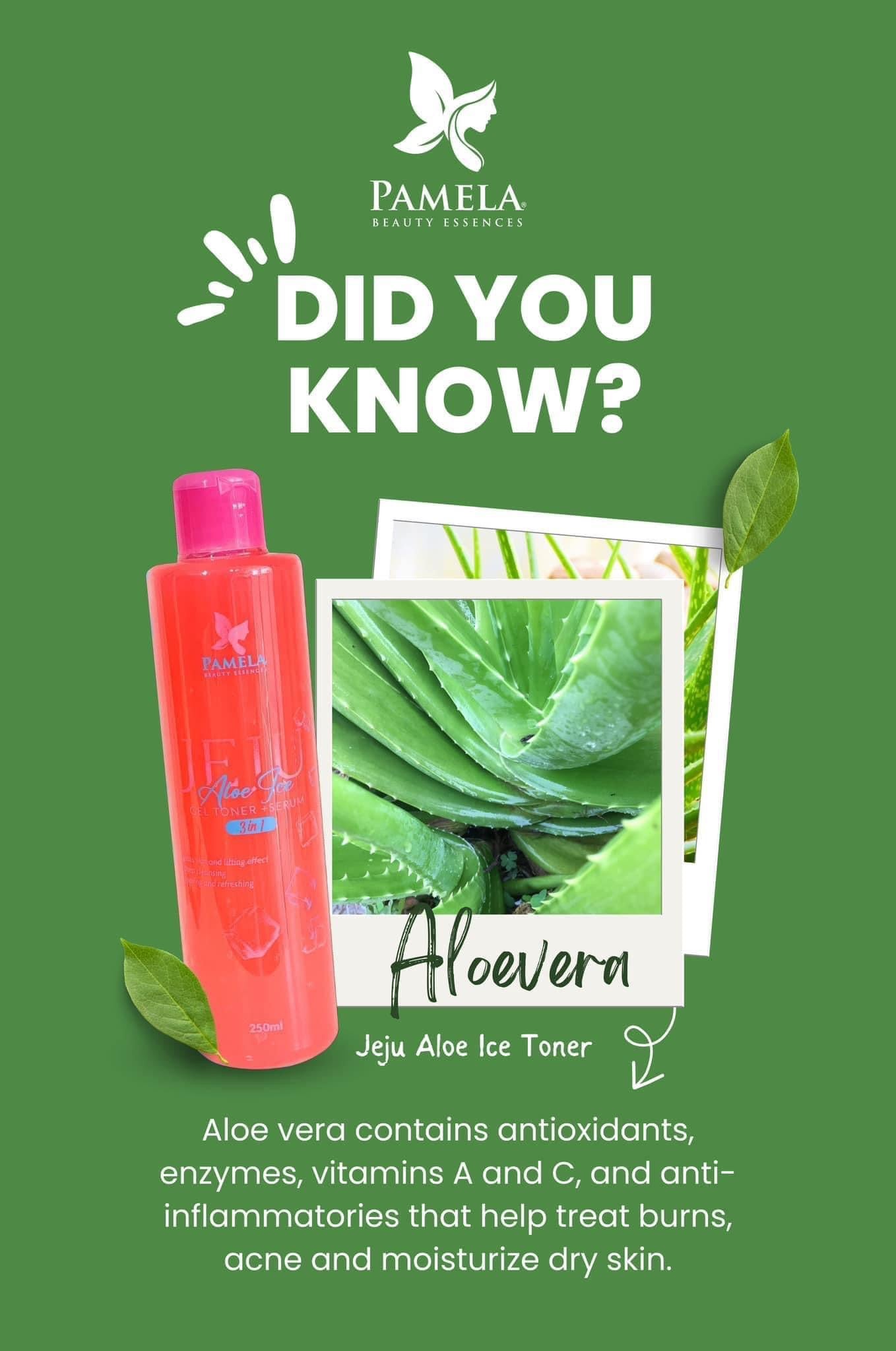 Jeju aloe ice gel toner with serum